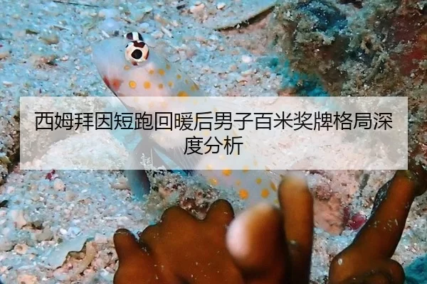 西姆拜因短跑回暖后男子百米奖牌格局深度分析